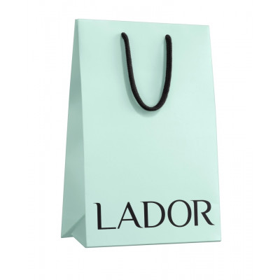 La'dor SMALL SHOPPING BAG Подарочный пакет 1шт
